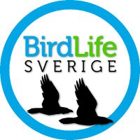 BirdLife Sverige(@BirdLifeSverige) 's Twitter Profileg