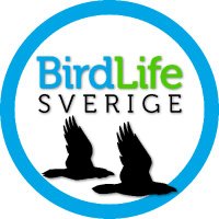 BirdLife Sverige (@birdlifesverige) 's Twitter Profile