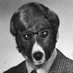 Joe Bayles (@joebayles) Twitter profile photo
