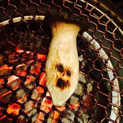 elintmk2's profile picture. 人生寝る寝る寝るね