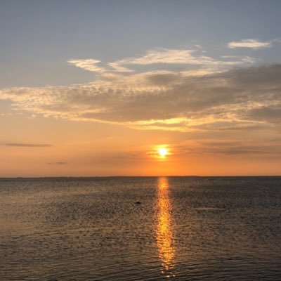 poipoipoikats's profile picture. コスパよく資産の最大化をするために、インデックス投資×ポイ活×ケーコジを程よくやります！国立理系院卒の大手自動車メーカー勤務　20代