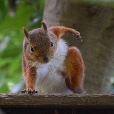 f59CrvmFriEkViV's profile picture. エロいおっさん ハプバー好き 拘束とか羞恥系大好き