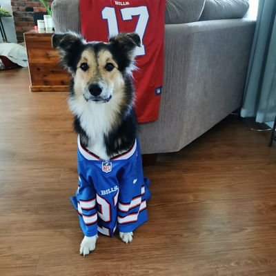 ColinKrysa1's profile picture. 