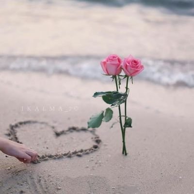 KmFniKQZWfaxEa1's profile picture. 