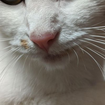 manzyuu831's profile image