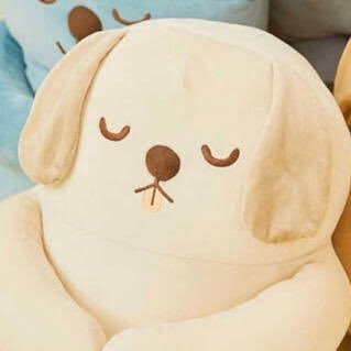 のぶるさんのプロフィール画像
