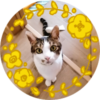 ちろる🐱三つ子3y (@haruka30928) 's Twitter Profile