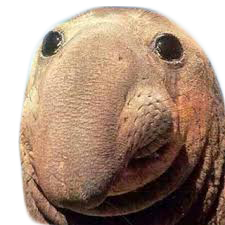 John Doh Jon Douh Twitter John Doh Jon Douh Twitter