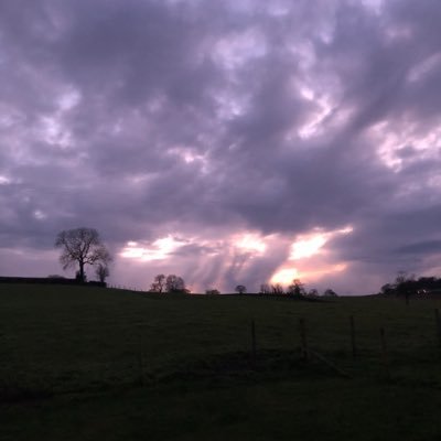 beanoxrp's profile picture. 