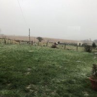 Cookie (@cookie247) 's Twitter Profile