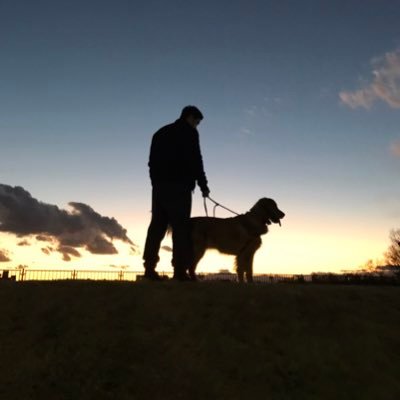 omiso1231's profile picture. サーバーサイドでkotlin, javaやってます。