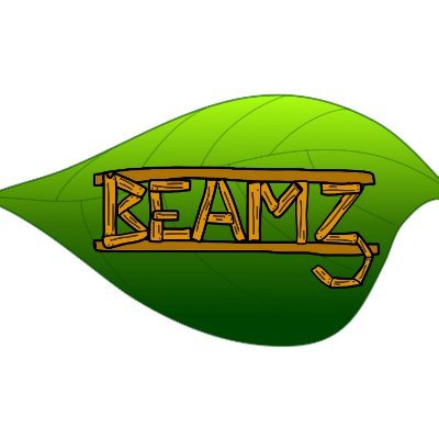 BEAMZBikes Profile Picture