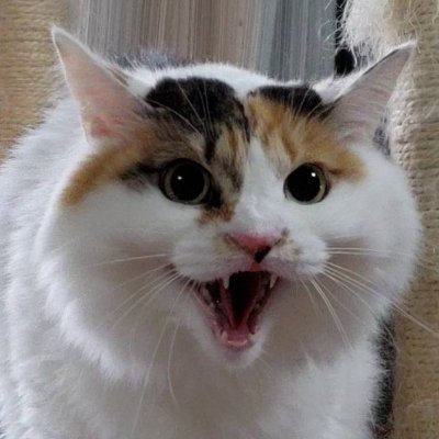 声優・ナレーターっぽい『桐生かえみ』でございます。相楽紅葉名義で物書きやってます。https://t.co/xBcAtBN9zO