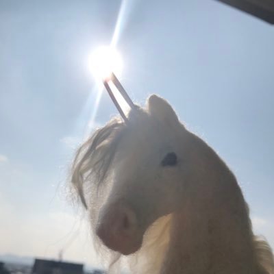 markoさんのプロフィール画像