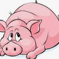 Pigsh*t Pindick (@pindickpiggy2) 's Twitter Profile
