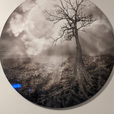 kidclay17's profile picture. 