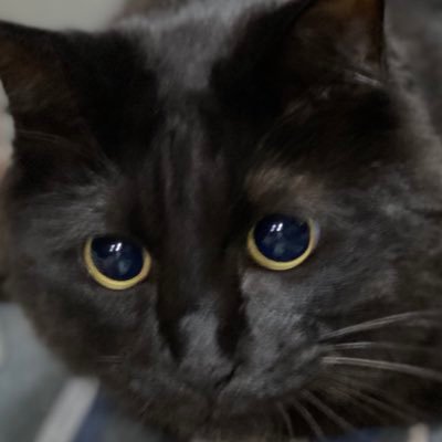 miyuxix's profile picture. 