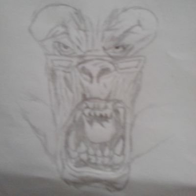 joaquinsio's profile picture. el changuito