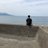 歴史探訪団のTwitterプロフィール画像