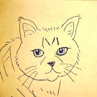 米子 (@ynkgame) 's Twitter Profile