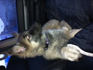 STUARTMUNDY's profile picture. lol yer boy!