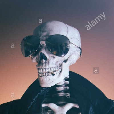 ^this skeleton is named alan, i am not | 25 | streams on twitch rarely