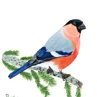 EttyWake's profile picture. Illustrator and greeting cards designer based in northwest London. Also a freelance trumpet player and instrumental teacher.