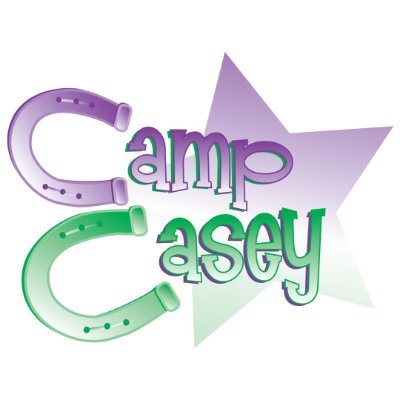 Camp Casey is nonprofit organization that provides cost-free horseback riding programs for children with cancer and rare blood disorders in Michigan.