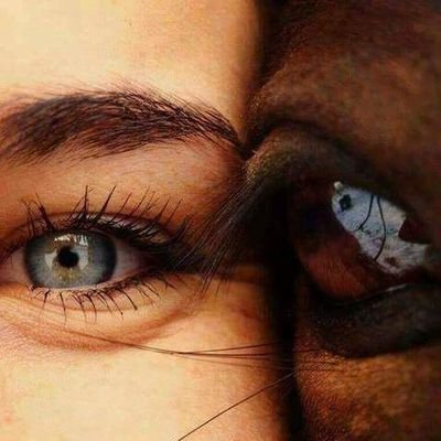 ‏‏‏حسبنا الله سيؤتينا الله من فضله انا إلى الله راغبون 🌼 أنا من وطن الياسمين 🌼