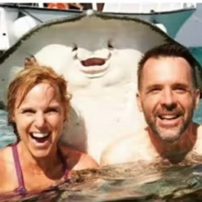 naohraohkensir1's profile picture. 