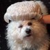 Law Paw Charity Calendar (Billable Hour) (@lawpawcalendar) Twitter profile photo Law Paw Charity Calendar (Billable Hour) (@lawpawcalendar) Twitter profile photo