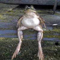 Alex Tao (@ataoskers) 's Twitter Profile