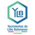Yacimientos de Litio Bolivianos (@litio_boliviano) Twitter profile photo
