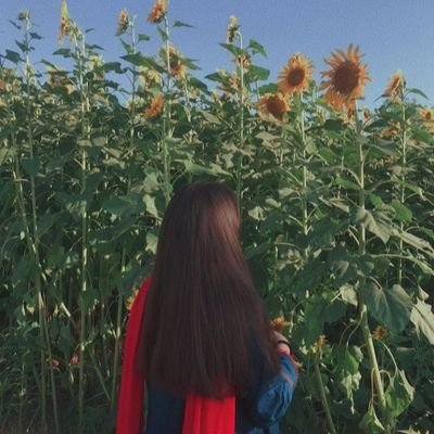 AroojFatima75 Profile Picture