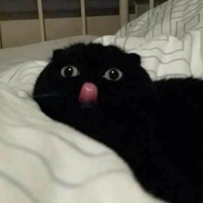 บตさんのプロフィール画像
