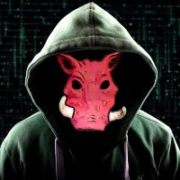 Hognonymous (@hognonymous) 's Twitter Profile