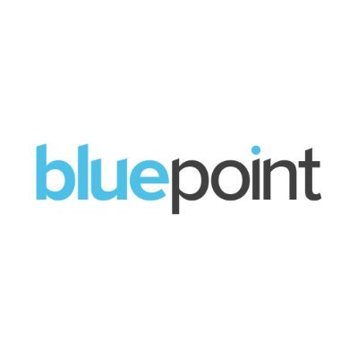 Bluepoint Leadership