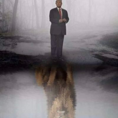 mase1832's profile picture. 