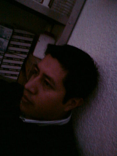 QFB y Puma.
