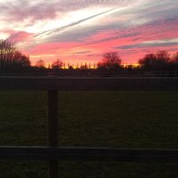 Rowan (@niacbg) 's Twitter Profile