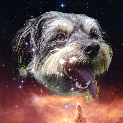 KosmioWaerloga's profile picture. ⚫Nihilist⚫ 🔥Anarchist🔥 🤨Skeptic🤨