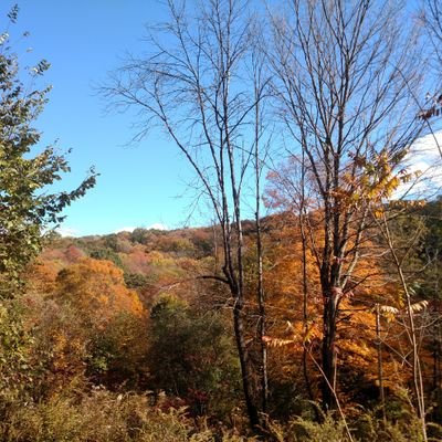 HappyCa76874373's profile picture. I'm a happy camper