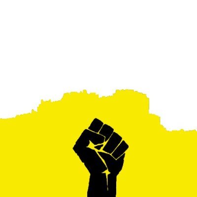 BLMScotland's profile picture. The official twitter of Black Lives Matter Scotland