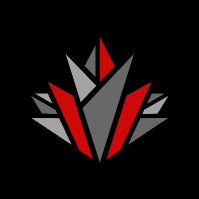 Nordik Esports Profile