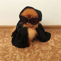 Aritri Paul(@paulsmindpalace) 's Twitter Profile Photo Aritri Paul(@paulsmindpalace) 's Twitter Profile Photo