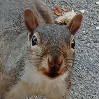 UgottaBkiddinme (@ugottabekiddin8) 's Twitter Profile