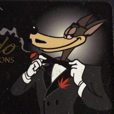 yoweb5's profile picture. Yo web