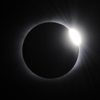 skullcrosssnake's profile picture. 