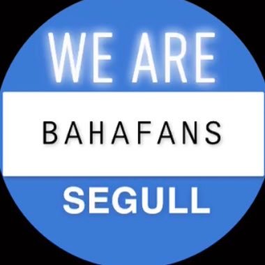 Up the sea pijuns. FOOTBALL SEAGULLS. WE WIN GAMES. 🤍💙🤍💙🤍💙🤍💙🤍💙⚽️⚽️⚽️⚽️⚽️⚽️⚽️⚽️⚽️⚽️⚽️⚽️