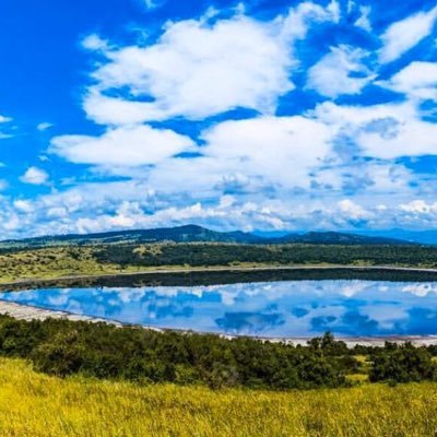 Fitscherwil's profile picture. 